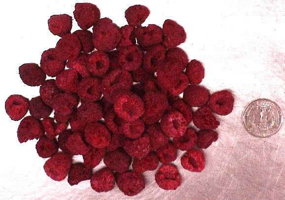 Organic Dried (Crunchy) Raspberries: 1/8 Pound